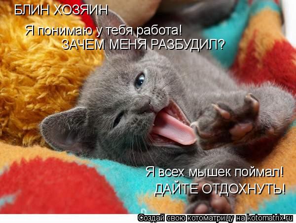 БЛИН ХОЗЯИН Я понимаю у тебя работа! ЗАЧЕМ МЕНЯ РАЗБУДИЛ? Я всех мышек поймал! ДАЙТЕ ОТДОХНУТЬ!... Котоматрица: БЛИН ХОЗЯИН Я понимаю у тебя работа! ЗАЧЕМ МЕНЯ РАЗБУДИЛ? Я всех мышек поймал! ДАЙТЕ ОТДОХНУТЬ!