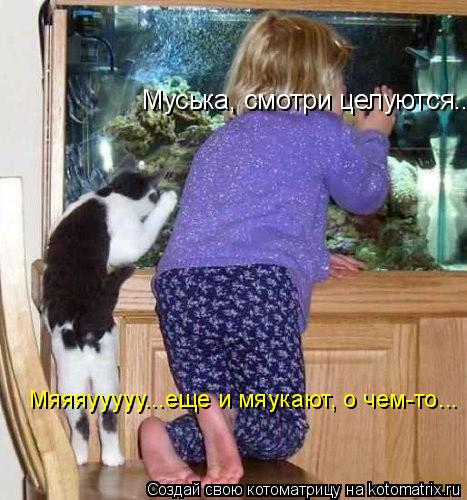 Котоматрица: Муська, смотри целуются... Мяяяууууу...еще и мяукают, о чем-то...