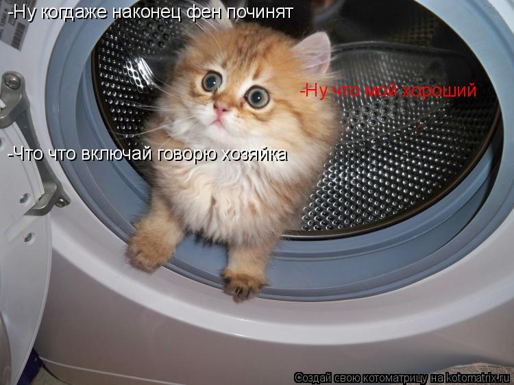 -Ну когдаже наконец фен починят -Ну когдаже наконец фен починят -Ну что мой хороший -Что что включай ... Котоматрица: -Ну когдаже наконец фен починят -Ну когдаже наконец фен починят -Ну что мой хороший -Что что включай говорю хозяйка