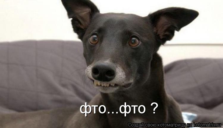 фто...фто ?... Котоматрица: фто...фто ?