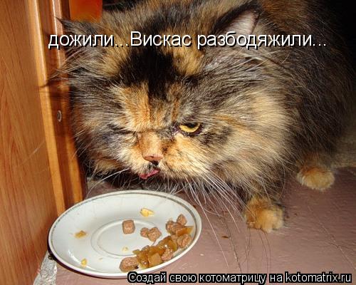 дожили...Вискас разбодяжили...... Котоматрица: дожили...Вискас разбодяжили...