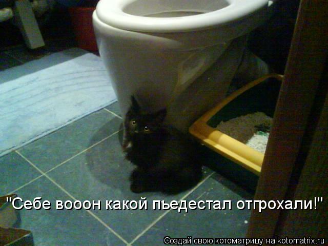"Себе вооон какой пьедестал отгрохали!"... Котоматрица: "Себе вооон какой пьедестал отгрохали!"