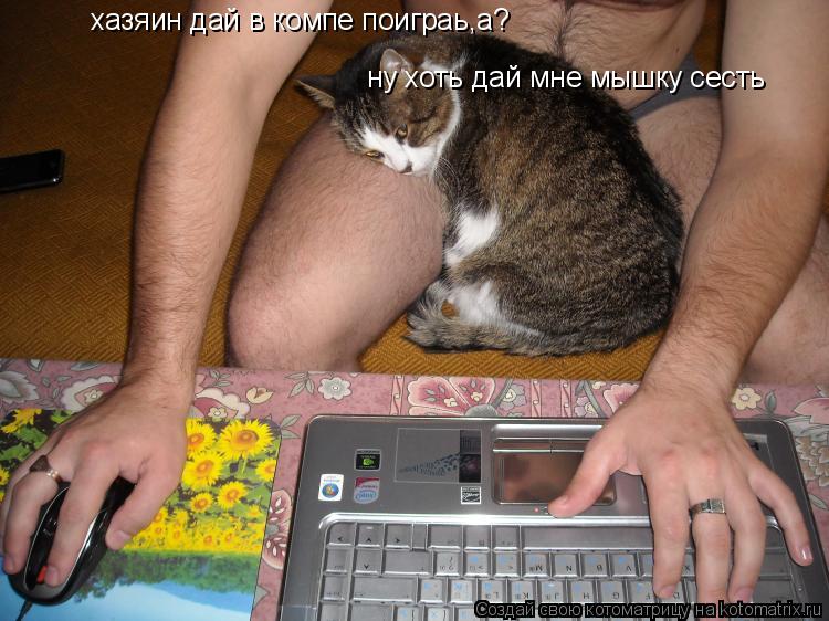 Котоматрица: хазяин дай в компе поиграь,а? ну хоть дай мне мышку сесть