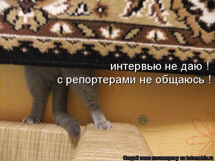 Котоматрица: интервью не даю ! с репортерами не общаюсь !