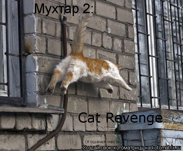 Мухтар 2: Cat Revenge (Кошачья месть)... Котоматрица: Мухтар 2: Cat Revenge (Кошачья месть)
