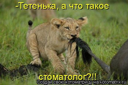 Котоматрица: -Тетенька, а что такое  стоматолог?!!