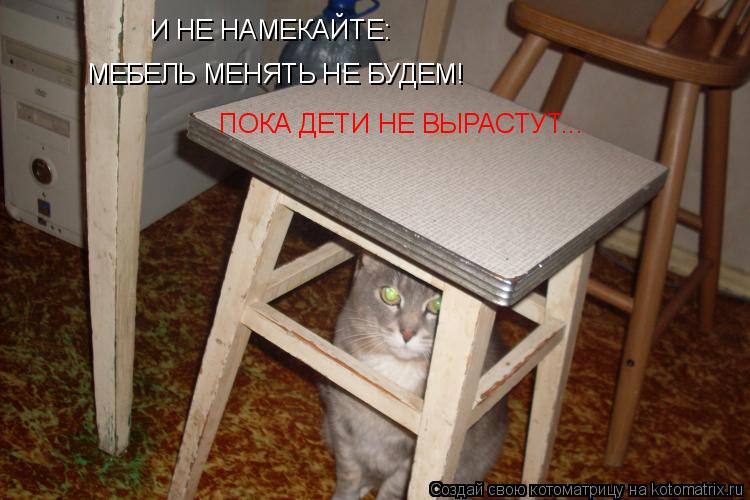 Котоматрица: И НЕ НАМЕКАЙТЕ: МЕБЕЛЬ МЕНЯТЬ НЕ БУДЕМ! ПОКА ДЕТИ НЕ ВЫРАСТУТ...
