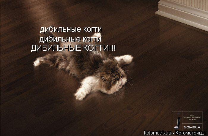 Котоматрица: дибильные когти дибильные когти ДИБИЛЬНЫЕ КОГТИ!!!