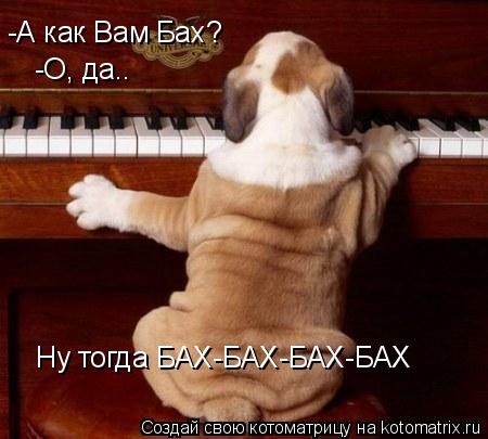 -А как Вам Бах? -О, да.. Ну тогда БАХ-БАХ-БАХ-БАХ... Котоматрица: -А как Вам Бах? -О, да.. Ну тогда БАХ-БАХ-БАХ-БАХ