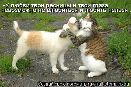 -У любви твои ресницы и твои глаза невозможно не влюбиться и любить нельзя...... Котоматрица: -У любви твои ресницы и твои глаза невозможно не влюбиться и любить нельзя...
