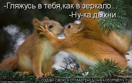 -Гляжусь в тебя,как в зеркало... -Ну-ка,дыхни...... Котоматрица: -Гляжусь в тебя,как в зеркало... -Ну-ка,дыхни...