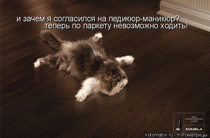 и зачем я согласился на педикюр-маникюр? теперь по паркету невозможно ходить!... Котоматрица: и зачем я согласился на педикюр-маникюр? теперь по паркету невозможно ходить!