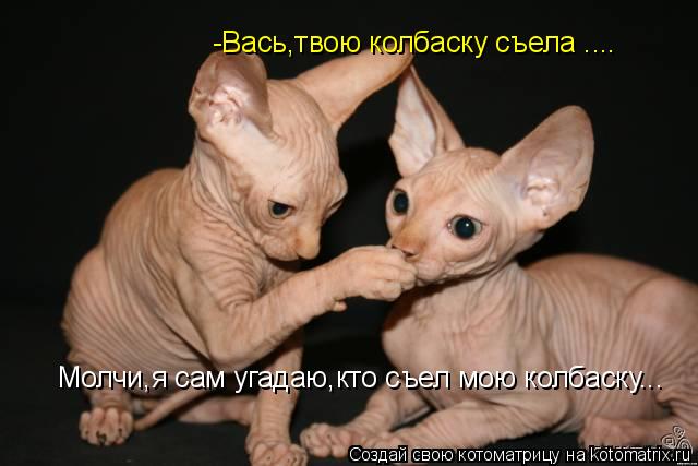 Молчи,я сам угадаю,кто съел мою колбаску... -Вась,твою колбаску съела ....... Котоматрица: Молчи,я сам угадаю,кто съел мою колбаску... -Вась,твою колбаску съела ....
