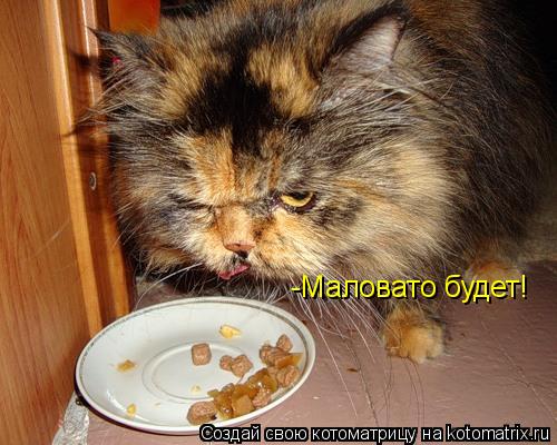 -Маловато будет!... Котоматрица: -Маловато будет!
