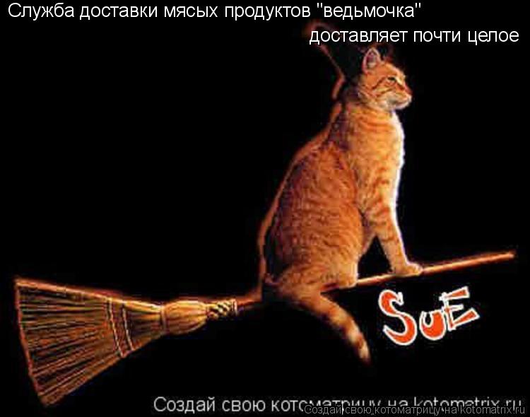 Служба доставки мясых продуктов "ведьмочка" доставляет почти целое... Котоматрица: Служба доставки мясых продуктов "ведьмочка" доставляет почти целое