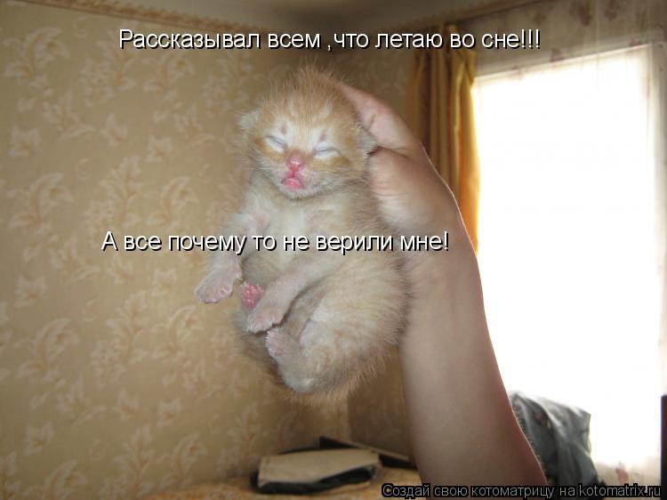 Рассказывал всем ,что летаю во сне!!! А все почему то не верили мне!... Котоматрица: Рассказывал всем ,что летаю во сне!!! А все почему то не верили мне!