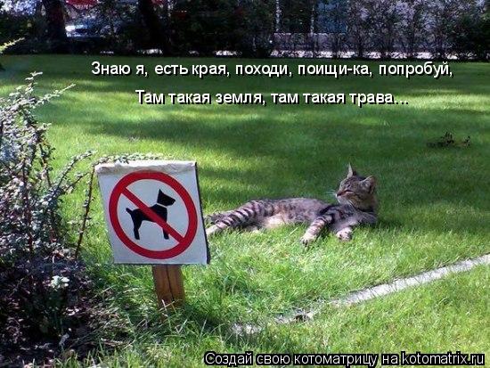 Знаю я, есть края, походи, поищи-ка, попробуй, Там такая земля, там такая трава... Там такая земля, ... Котоматрица: Знаю я, есть края, походи, поищи-ка, попробуй, Там такая земля, там такая трава... Там такая земля, там такая трава...