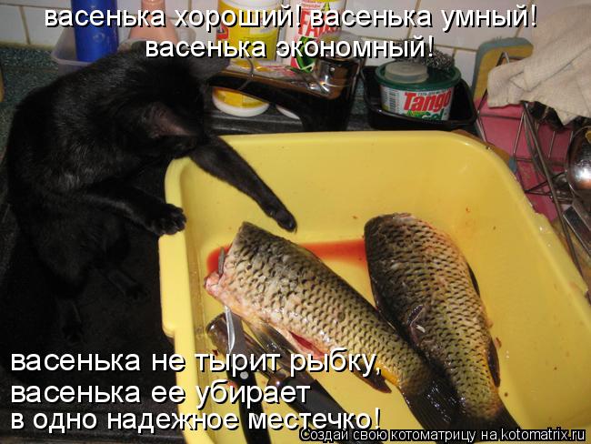 васенька экономный! васенька не тырит рыбку, васенька ее убирает васенька хороший! васенька умный! в... Котоматрица: васенька экономный! васенька не тырит рыбку, васенька ее убирает васенька хороший! васенька умный! в одно надежное местечко!