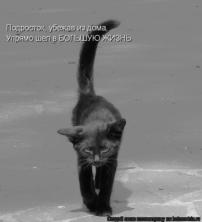 Подросток, убежав из дома, Упрямо шел в БОЛЬШУЮ ЖИЗНЬ... Котоматрица: Подросток, убежав из дома, Упрямо шел в БОЛЬШУЮ ЖИЗНЬ