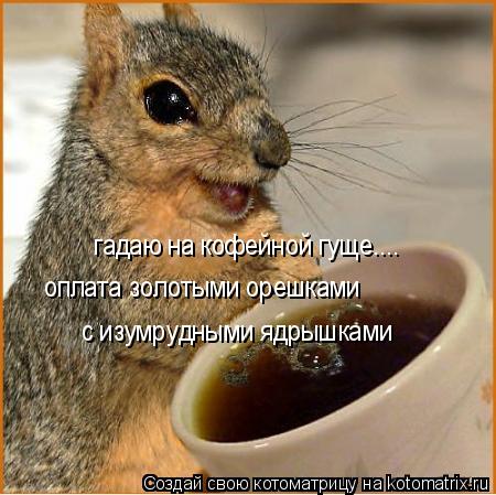 гадаю на кофейной гуще.... оплата золотыми орешками с изумрудными ядрышками... Котоматрица: гадаю на кофейной гуще.... оплата золотыми орешками с изумрудными ядрышками