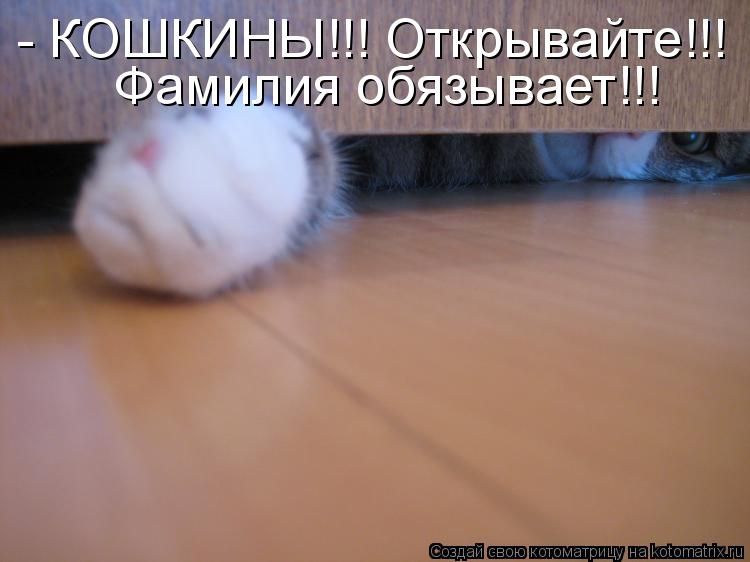 Котоматрица: - КОШКИНЫ!!! Открывайте!!! Фамилия обязывает!!!