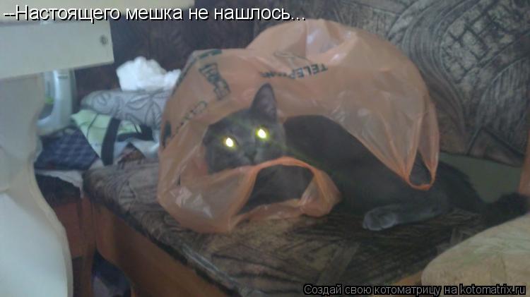--Настоящего мешка не нашлось...... Котоматрица: --Настоящего мешка не нашлось...