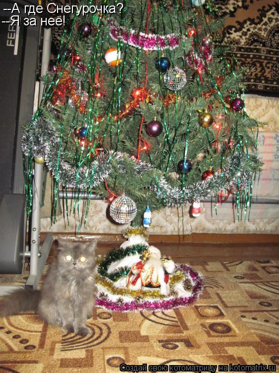 --А где Снегурочка? --Я за неё!... Котоматрица: --А где Снегурочка? --Я за неё!