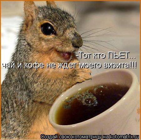 -Тот кто ПЬЕТ... чай и кофе не ждет моего визита!!!... Котоматрица: -Тот кто ПЬЕТ... чай и кофе не ждет моего визита!!!