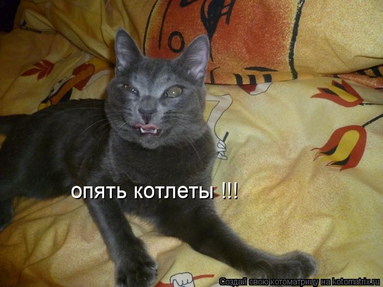 опять котлеты !!!... Котоматрица: опять котлеты !!!