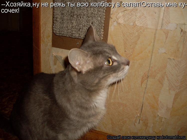 --Хозяйка,ну не режь ты всю колбасу в салат!Оставь мне ку- сочек!... Котоматрица: --Хозяйка,ну не режь ты всю колбасу в салат!Оставь мне ку- сочек!