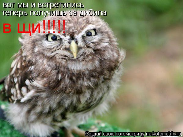 вот мы и встретились теперь получишь за дибила в щи!!!!!... Котоматрица: вот мы и встретились теперь получишь за дибила в щи!!!!!