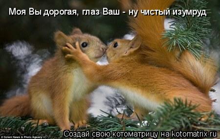 Моя Вы дорогая, глаз Ваш - ну чистый изумруд... Котоматрица: Моя Вы дорогая, глаз Ваш - ну чистый изумруд