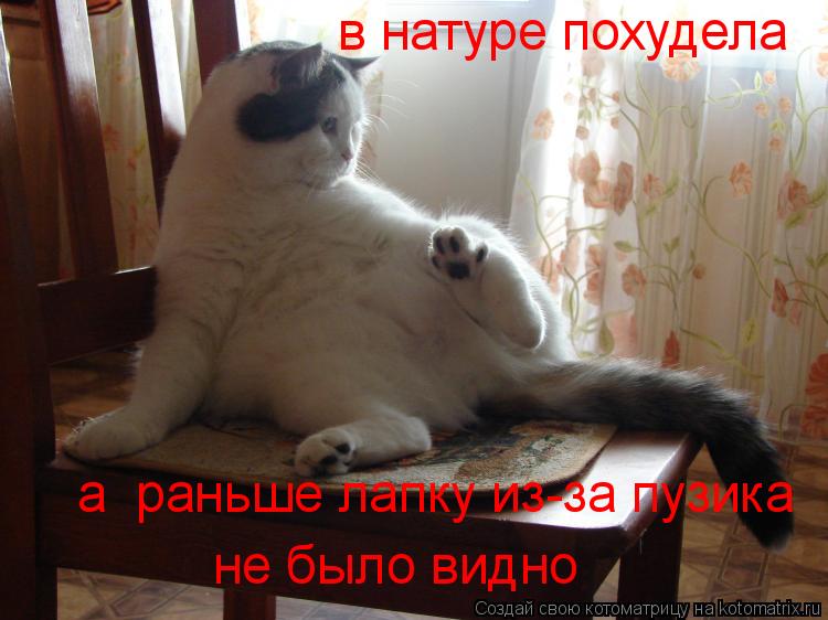в натуре похудела а раньше лапку из-за пузика не было видно... Котоматрица: в натуре похудела а раньше лапку из-за пузика не было видно
