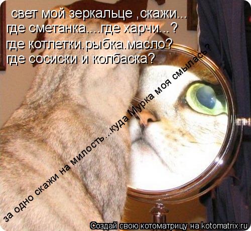 Котоматрица: свет мой зеркальце ,скажи... где котлетки.рыбка.масло? где сосиски и колбаска? где сметанка....где харчи...? за одно скажи на милость...куда Мурка