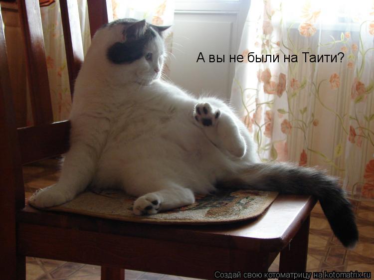 Котоматрица: А вы не были на Таити?