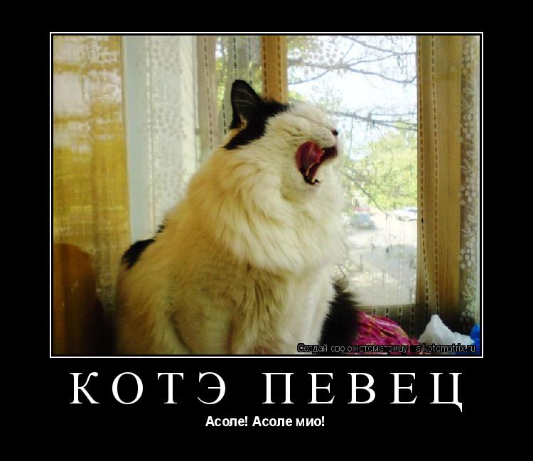 Котоматрица: КотЭ певец Асоле! Асоле мио!