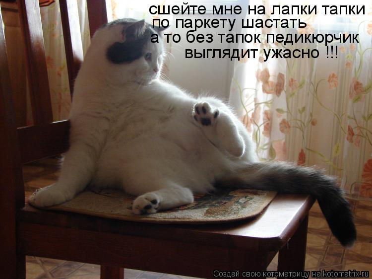 Котоматрица: сшейте мне на лапки тапки по паркету шастать а то без тапок педикюрчик выглядит ужасно !!!