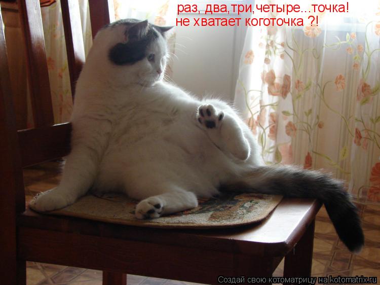 Котоматрица: раз, два,три,четыре...точка! не хватает коготочка ?!