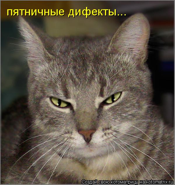 Котоматрица: пятничные дифекты...