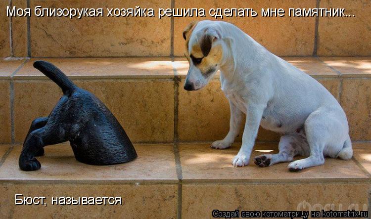 Котоматрица: Бюст, называется Моя близорукая хозяйка решила сделать мне памятник...