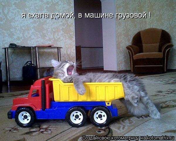 Котоматрица: я ехала домой, в машине грузовой !