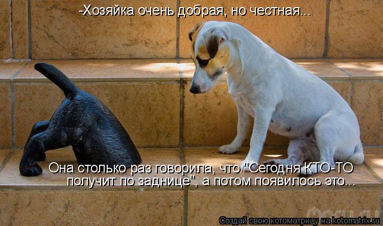 Котоматрица: -Хозяйка очень добрая, но честная... Она столько раз говорила, что "Сегодня КТО-ТО получит по заднице", а потом появилось это...