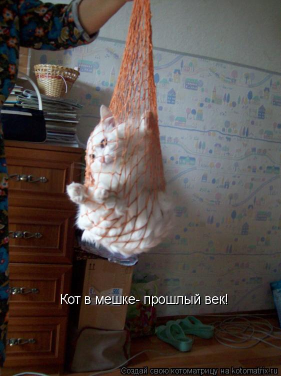 Котоматрица: Кот в мешке- прошлый век!