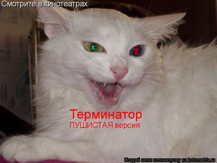 Котоматрица: Терминатор ПУШИСТАЯ версия Смотрите в кинотеатрах