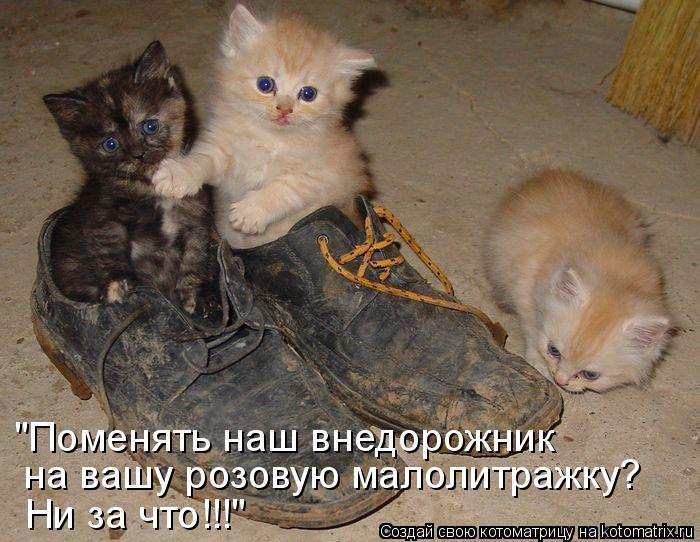http://kotomatrix.ru/images/lolz/2011/06/22/935700.jpg