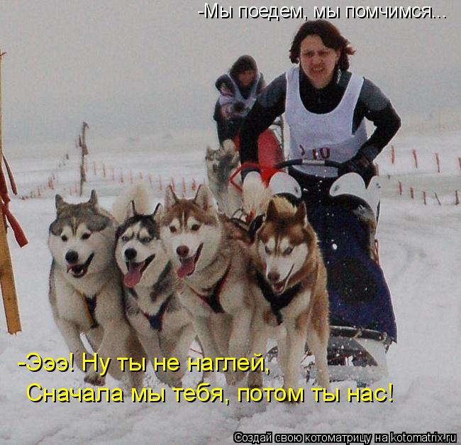 Котоматрица: -Мы поедем, мы помчимся... Эээ! Ну ты не наглей, сначала мы тебя, потом ты нас! -Эээ! Ну ты не наглей, Сначала мы тебя, потом ты нас!