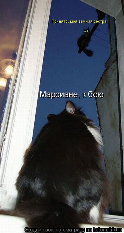 Котоматрица: Марсиане, к бою Принято, моя земная сестра