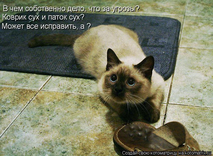 Котоматрица: В чем собственно дело, что за угрозы?  Коврик сух и паток сух? Может все исправить, а ?