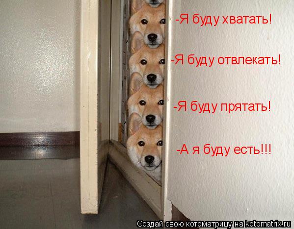 Котоматрица: -Я буду хватать! -Я буду отвлекать! -Я буду прятать! -А я буду есть!!!