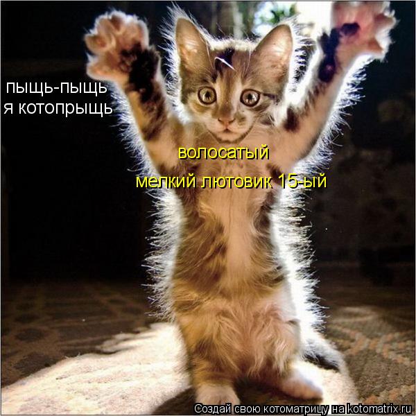 Котоматрица: пыщь-пыщь  я котопрыщь волосатый мелкий лютовик 15-ый